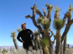 Fieldwork in the Mojave Desert.